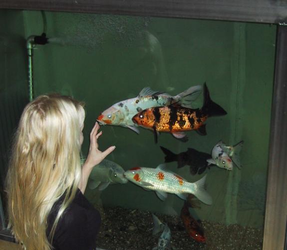 [Niina and koiquarium in 2003]